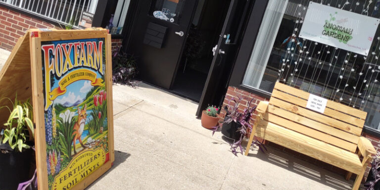 AnomalyGardens 1600x800 1F17ED3E 2C2D 4DB2 BCA2B132BF8A48B9 03292b06 1c51 4bbf a891aaeedf6a33b1 768x384