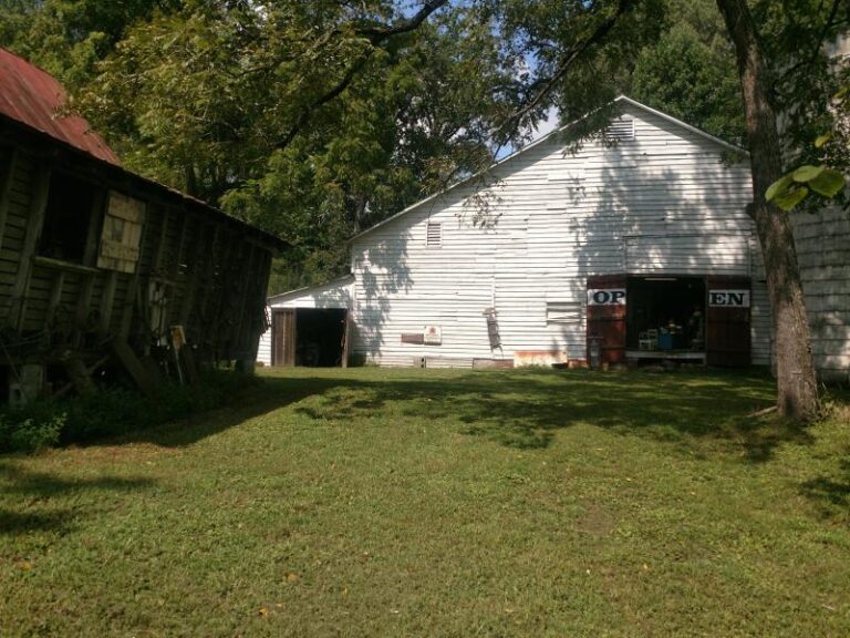 IMG 20170826 111339 256bc487 5056 a36a 071fbcf76661488f 768x576