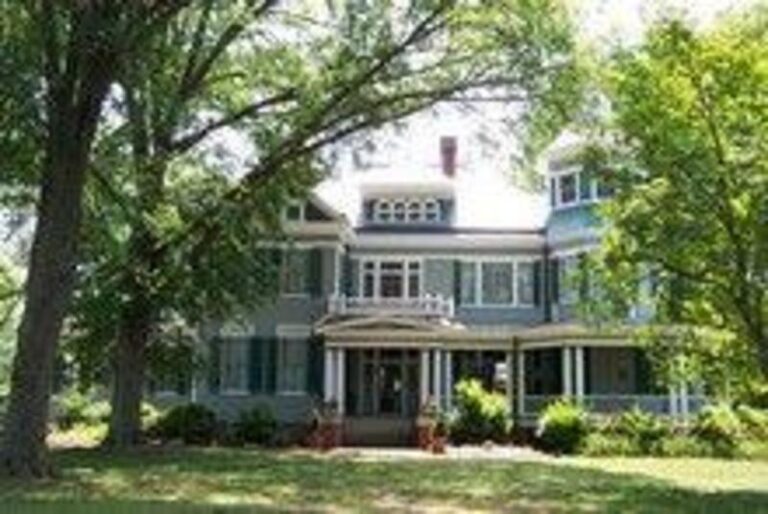 16443 1bace172 5056 a36a 079e74e40db97968 768x514