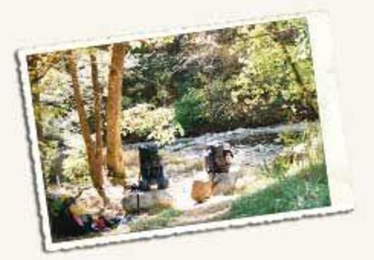 38001 1b0b2572 5056 a36a 07cd01f35cb9f44c 768x533