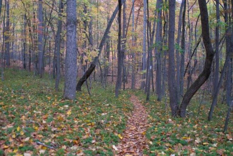 AppalachianTrail 1bdcc2d0 5056 a36a 0717fa0659288f67 768x514