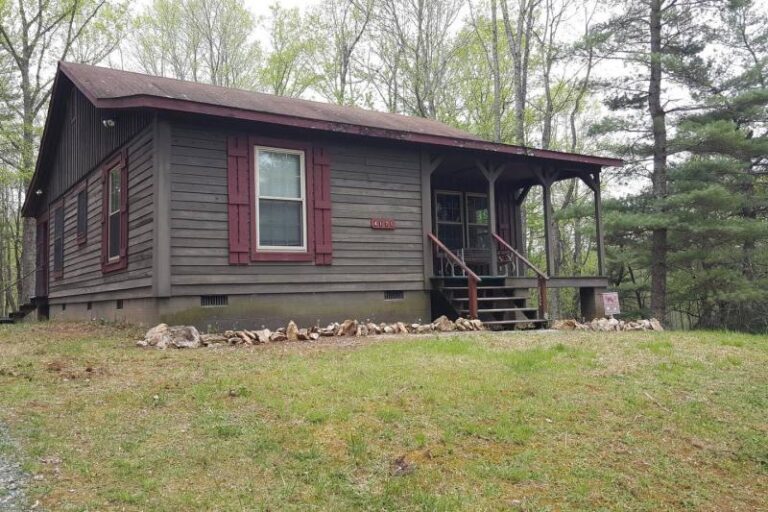 BearNecessitiesApr2020 23459e52 5056 a36a 0798fb685caa0408 768x512