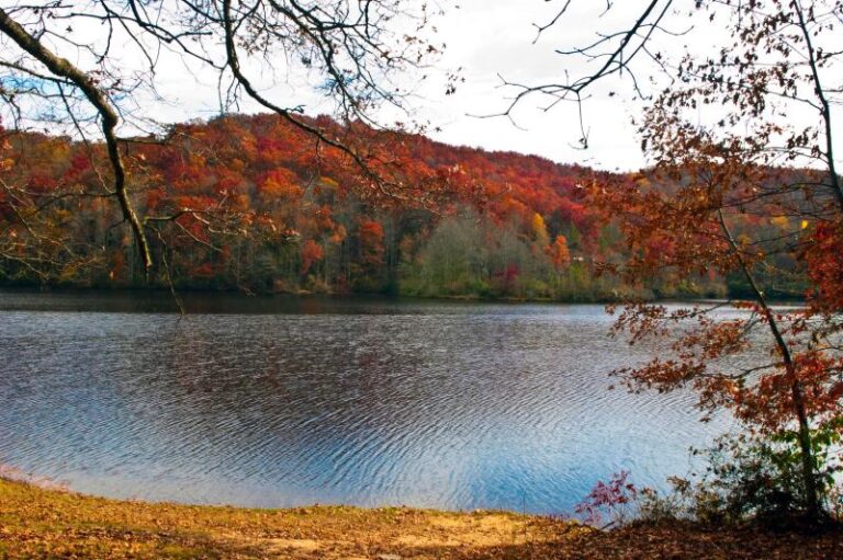 DSC 0081 1b5e8a11 5056 a36a 07d21693c38cd162 768x511