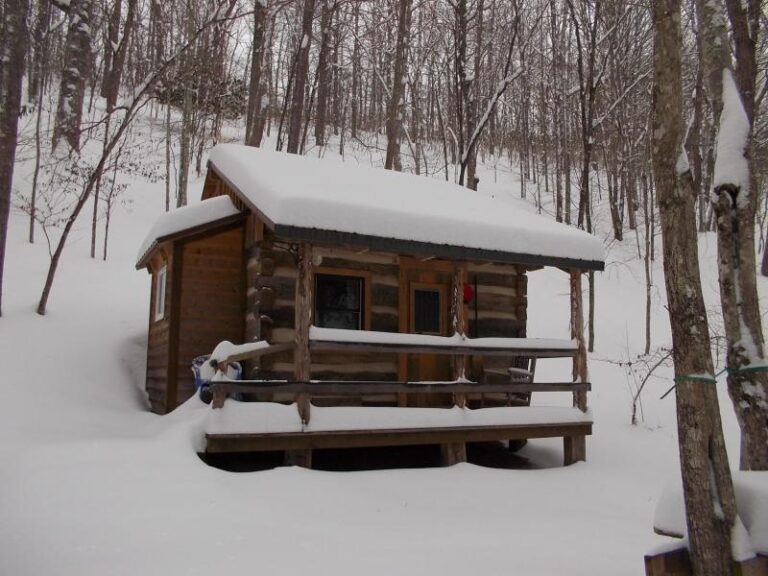 035 1faeff86 5056 a36a 07d6ae7bbb0a4eae 768x576