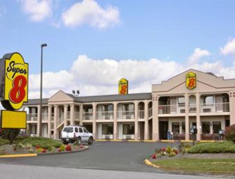 03808 b1 27766c8a 5056 a36a 07facb7b6d8b1968 768x584