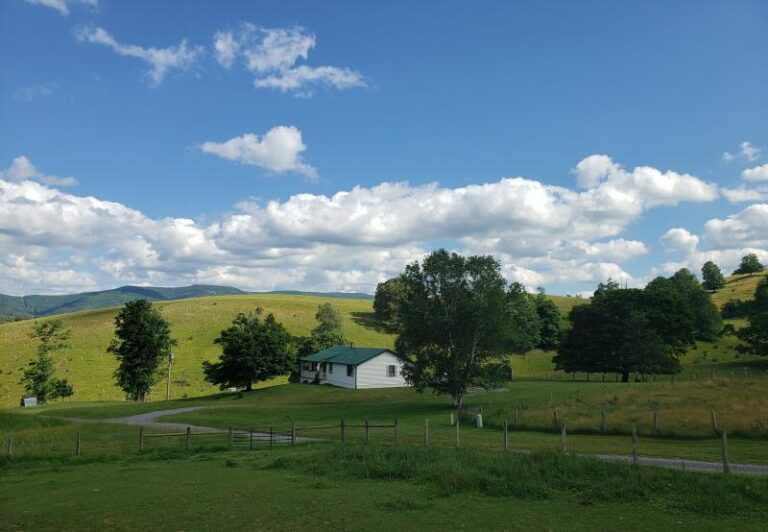 09 5 d5c85deb 5056 a36a 07857fd787728f74 768x532