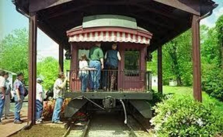 101car 1 1b3e2b91 5056 a36a 07cb0924805f7024 768x471