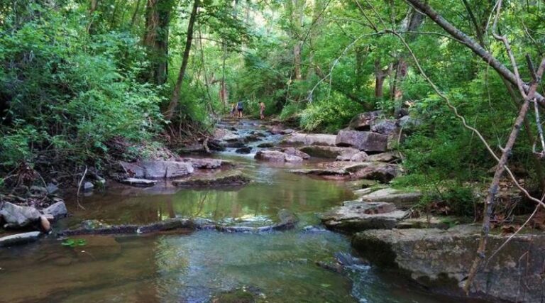 10384472 690793957624450 2282847060618434668 n 1bd3e95b 5056 a36a 0773f32703423f11 768x427