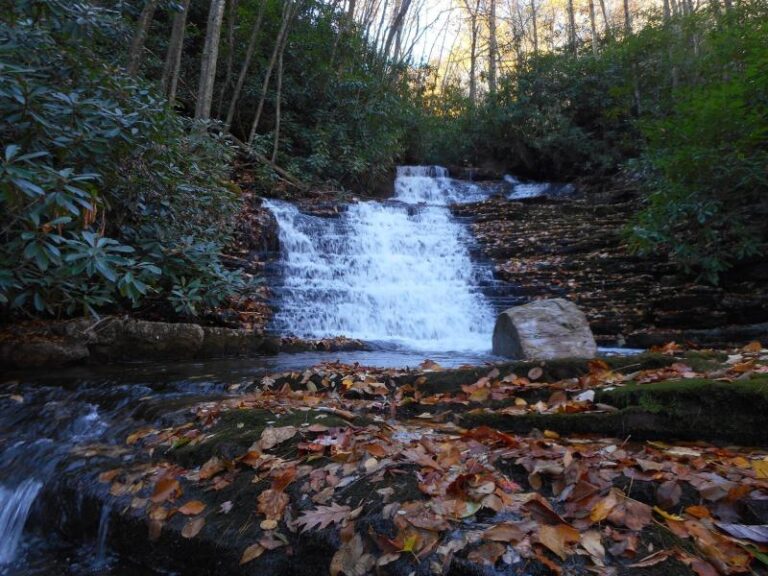 10694399 322262464624303 1159173686115817477 o1 25545ca0 5056 a36a 07ce07f524a30d10 768x576