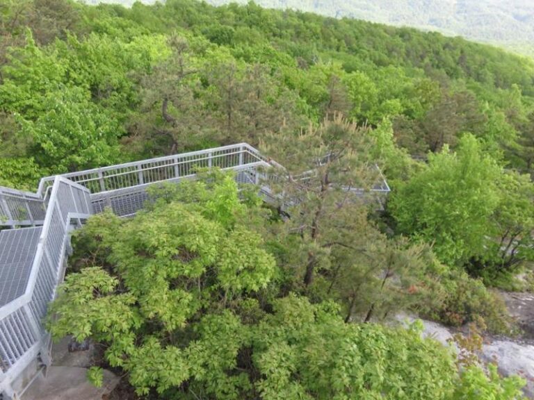 11060890 10203931882806713 1870348900289212030 n 1ebf1074 5056 a36a 07940e43d043c3a0 768x576