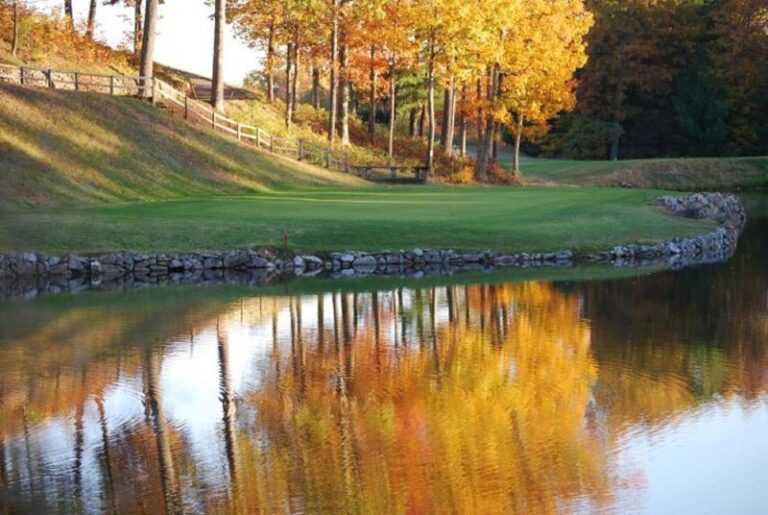 11064591 10153112635002243 8595398684510581198 n 1b9aed2e 5056 a36a 078fa3526e20505b 768x515