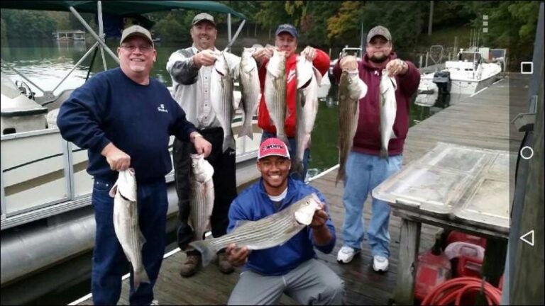 11182197 861973273838804 8421527544712900655 n 1ff4ca08 5056 a36a 076e9c9f244410d9 768x432