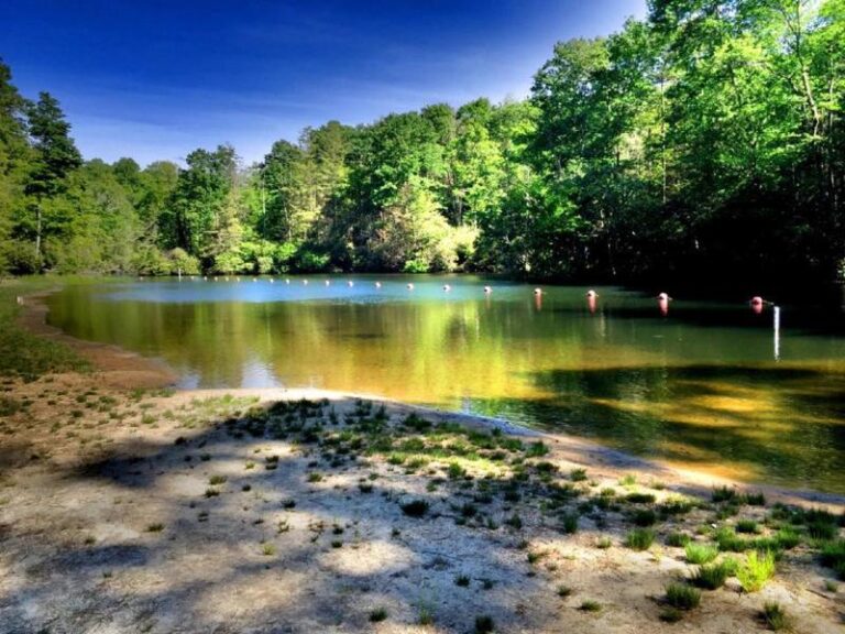 11351138 904192762971842 8958196065799517097 n 1 d6abfe25 5056 a36a 079df976b969778e 768x576