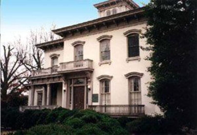 11658 1bf8f0c2 5056 a36a 0780b2d832e02094 768x527