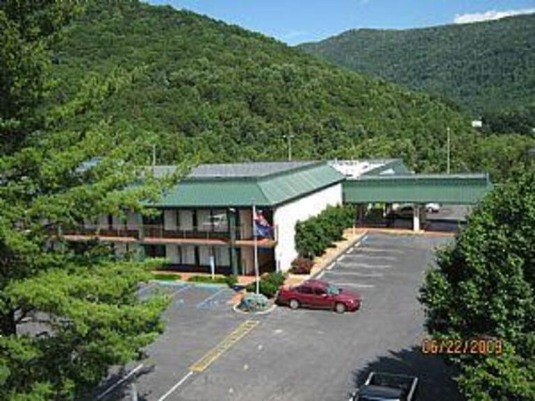 11709 1bf7d133 5056 a36a 07fd35196cb04107 768x576