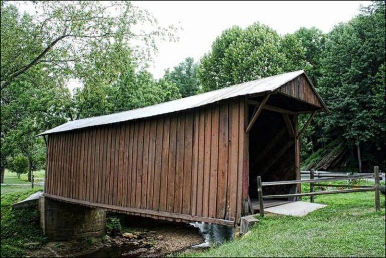 12079621 1088974774470864 7355561649199637454 n 1b2a5323 5056 a36a 0725a462ceffce51 768x513