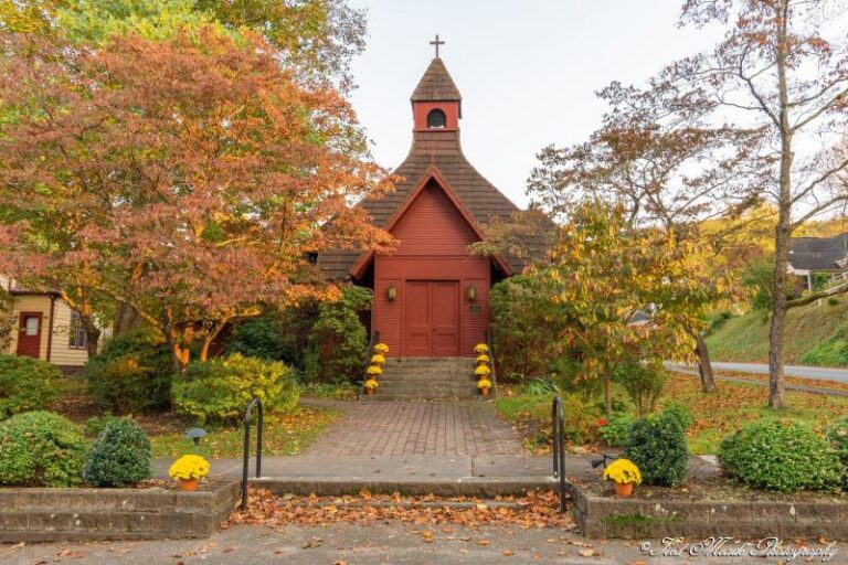 122246145 189285306021499 2043335972361494891 o 9f12ebf0 5056 a36a 0789158d8348580e 768x512