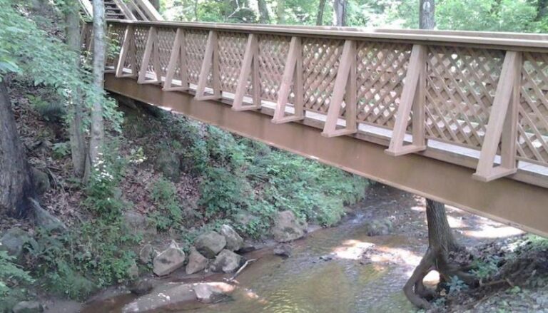 1263879 656667834351373 349390393 o 2 23676015 5056 a36a 072b481c058b09a3 768x439