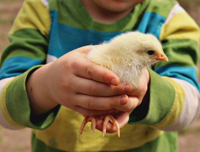 13000201 10153466049710976 3959513968352647467 n b6fbc05e 5056 a36a 07ff02290ac427a4 768x586