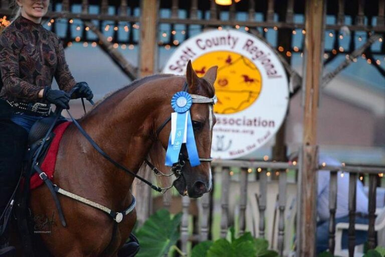 13417405 1140080782709600 219897606836299751 n 1fd6e824 5056 a36a 07703e703b18e08e 768x512