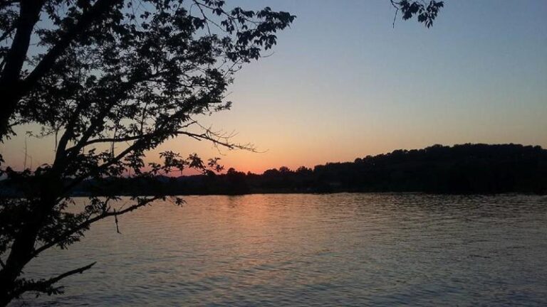 13466133 1626503121001539 7398679638309779150 n 1be8c1a8 5056 a36a 079d400207f85645 768x432