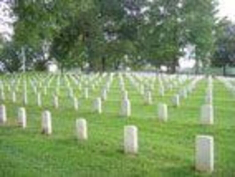 14888 9f2af63a 5056 a36a 0757d2e4ef75edec 768x579