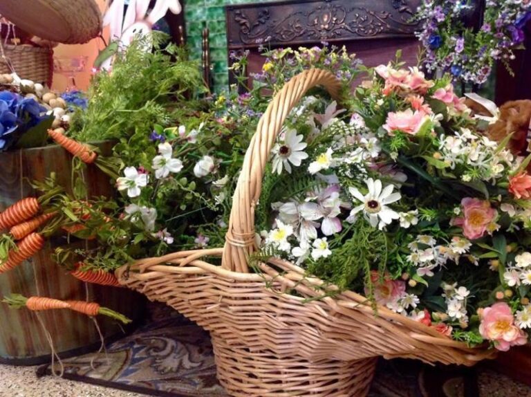 17634575 892971200855196 7105008092032648818 n 2553f60a 5056 a36a 079a7356363b7359 768x574