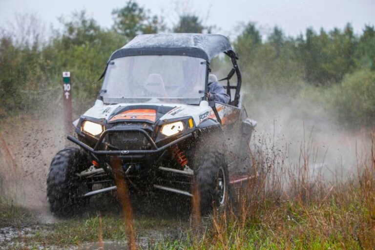 1900731 10154730396050154 2546501320695201768 o 278c325c 5056 a36a 0711396555bb992d 768x512