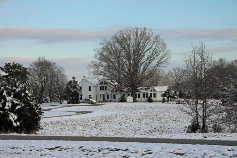 20171210 Villa in Snow smaller cc06818f 5056 a36a 079d41d8f09cb532 768x512