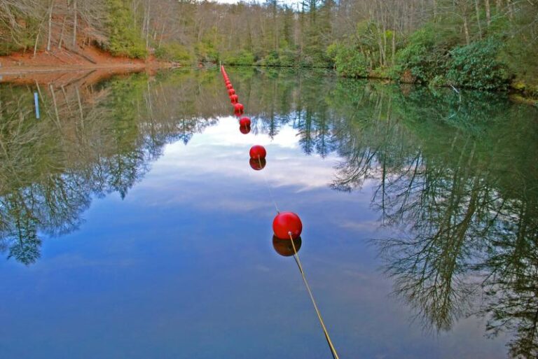 2021 02 24High Knob Lake KDunn 9f100fc2 5056 a36a 07fc41133fa31345 768x513