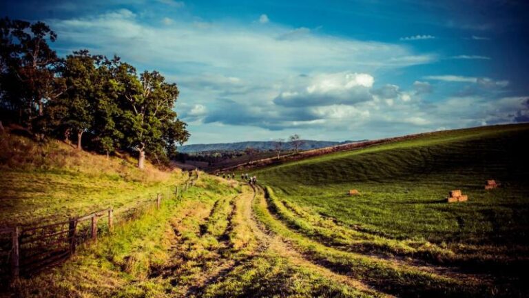 2132735981 23c75e33 5056 a36a 07ebf52c8e1be754 768x432