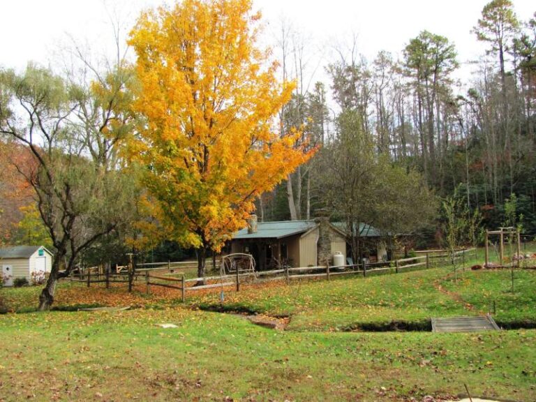 241074 333466670178868 5662413737838794117 o F6BC0F79 4495 4774 9604936F0BED82D7 2364c210 f69c 4c3f b44ff3224bf3fe66 768x576