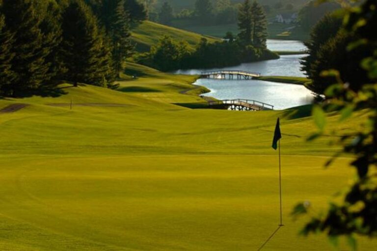 248 1 1b2528e0 5056 a36a 074154a45cc0c062 768x511