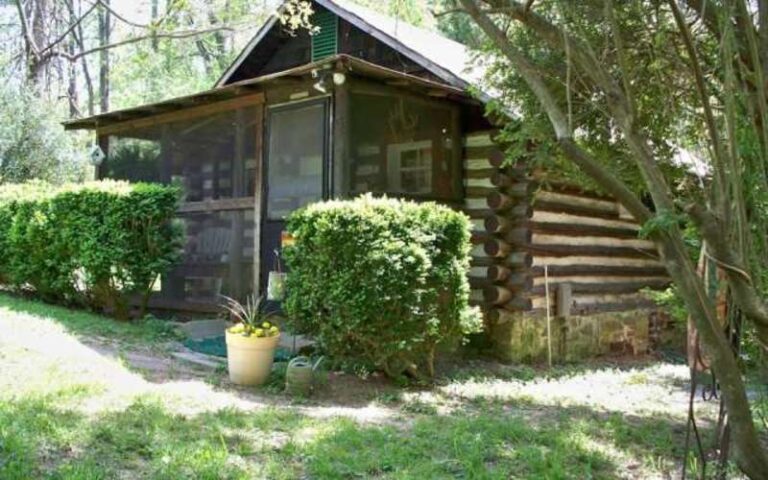 24 cc24b26c 5056 a36a 07ec1388ccba0fe1 AE28EF77 A976 071D 68ABADA555408DBB ae28eb360b17356 866a3a05 9511 56e8 d9e417939503d02d 768x480