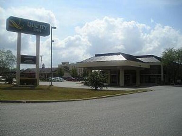 25467 1b78f7e4 5056 a36a 076612aeac03318b 768x576