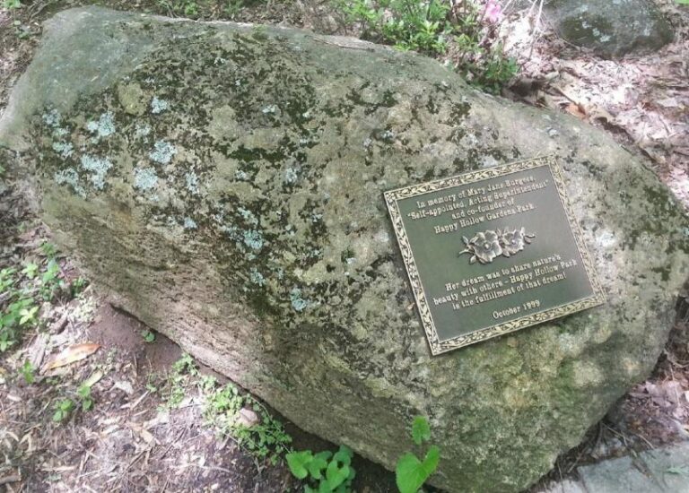 260353 569720153068440 1513685035 n 1e6dc815 5056 a36a 074fc996344fb854 768x550