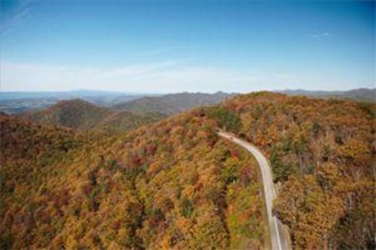 29338 1b5a27a1 5056 a36a 070d5d0383246057 768x512