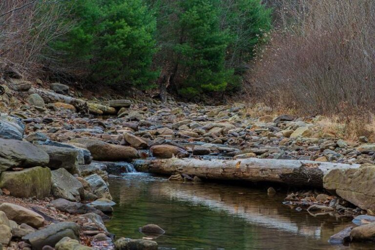 3092354 orig 1c0d6780 5056 a36a 07b4c55571843c68 768x513