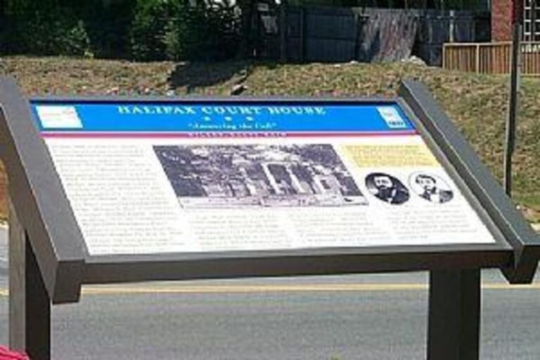 30971 1b472355 5056 a36a 0724654240cb43e3 768x512