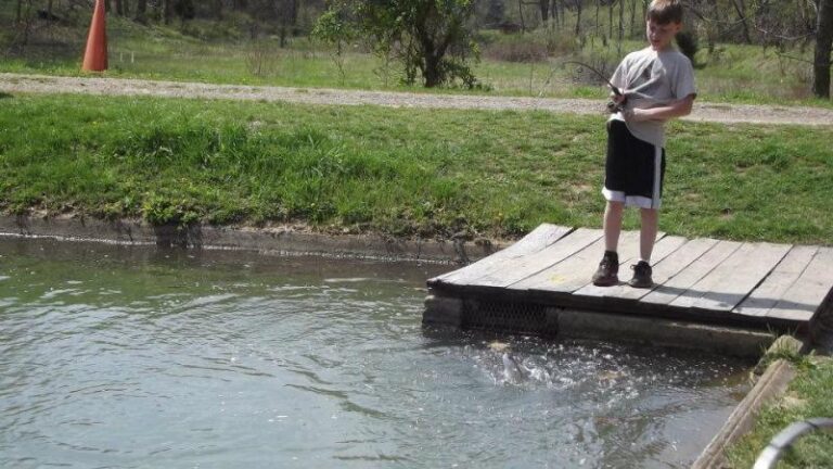 319855 212976048803227 990758729 n 23396d54 5056 a36a 07dfbef946b0eb4f 768x432