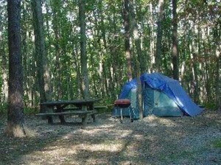 32843 1b32c0f4 5056 a36a 07168bdfdd14ab9c 768x573