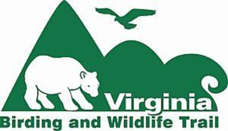 33633 1b2cf2a6 5056 a36a 0729d2ce16e228b1 768x441