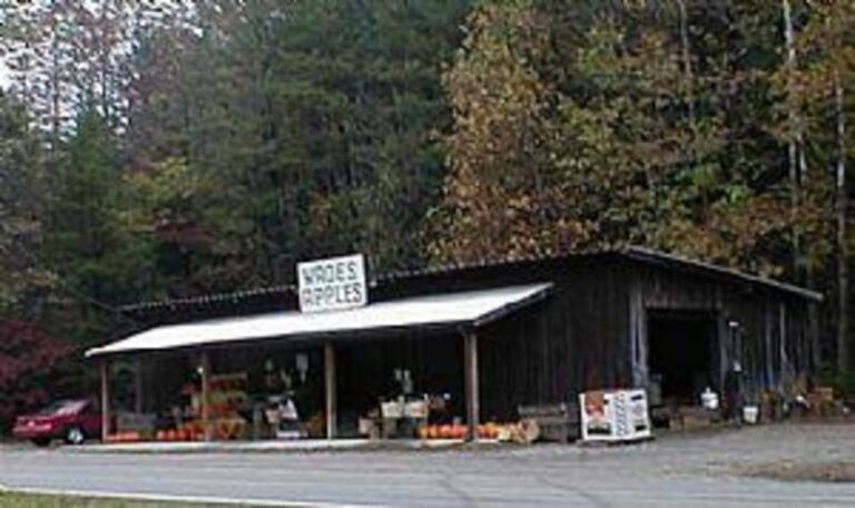 37198 1b11a987 5056 a36a 07b72d1f2966f68f 768x456