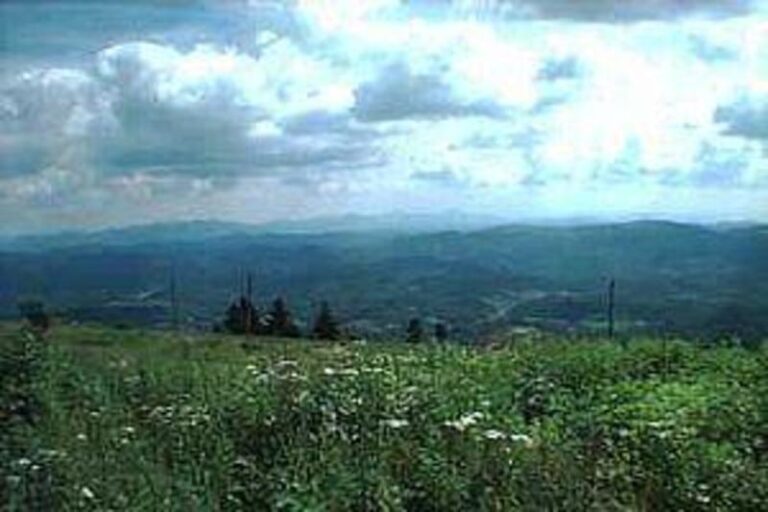 37819 1b0d71f4 5056 a36a 07fe29f05534f0b0 768x512