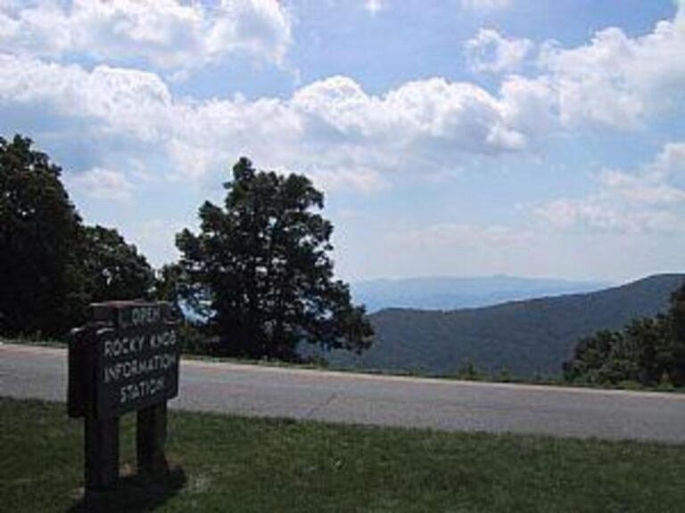 39349 1afb550c 5056 a36a 07853ffca6997f40 768x576