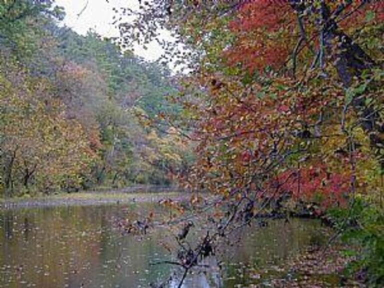 40681 1af3886d 5056 a36a 075c96b4577d1b6c 768x576