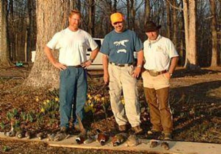 41347 1af069d8 5056 a36a 07bc122e4539b703 768x535