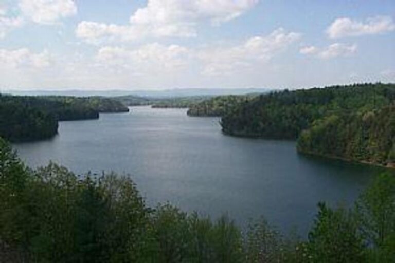 42615 1cae1435 5056 a36a 0754c8d983022a93 768x512