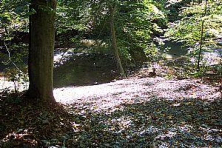 43223 1ca1cf38 5056 a36a 077a7ea937028844 768x512