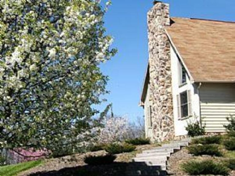 43424 1c9edcc2 5056 a36a 07660275736ae968 768x576